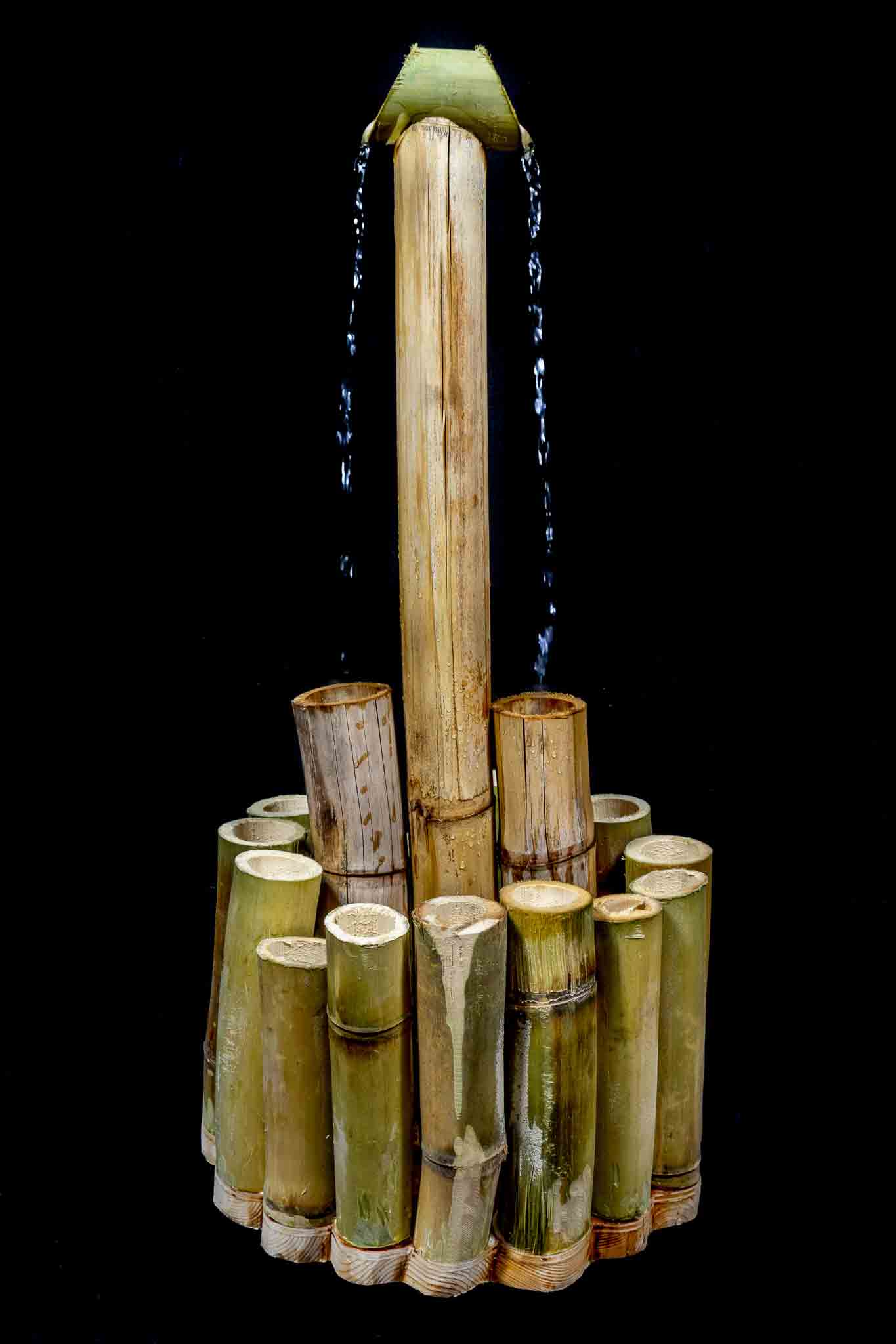 Art Image 1